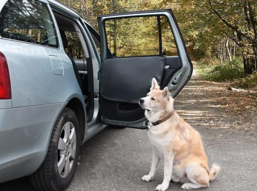 Compass Ajtóvédő kutyakarcolások ellen – 2 db